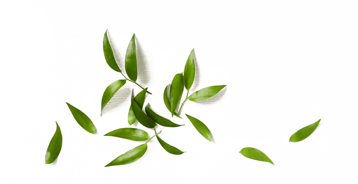 tealeaves-green